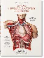 TASCHEN BIBLIOTHECA UNIVERSALIS : Bourgery. Atlas of Human Anatomy and Surgery