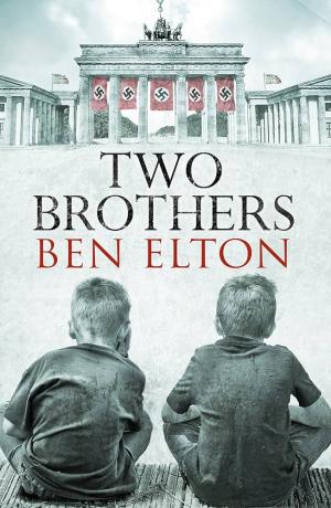 TWO BROTHERS Paperback