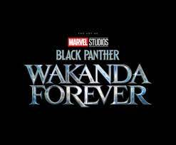 MARVEL STUDIOS' BLACK PANTHER: WAKANDA FOREVER - THE ART OF THE MOVIE  HC