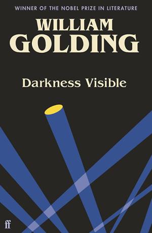 DARKNESS VISIBLE Paperback