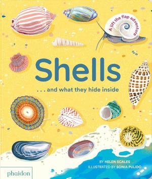 SHELLS... AND WHAT THEY HIDE INSIDE HC BBK