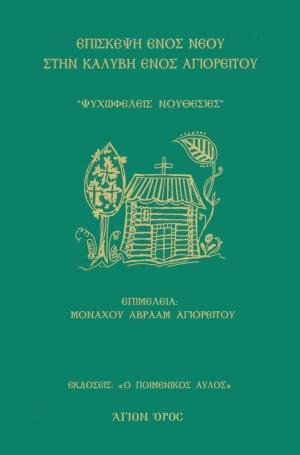 Επίσκεψη ενός νέου στην καλύβη ενός Αγιορείτου 