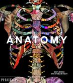 ANATOMY: EXPLORING THE HUMAN BODY HC