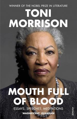 MOUTH FULL OF BLOOD : ESSAYS, SPEECHES, MEDITATIONS Paperback