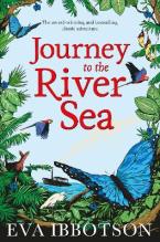 JOURNEY TO THE RIVER SEA  Paperback