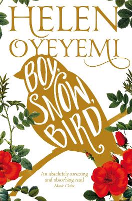 BOY, SNOW, BIRD  Paperback