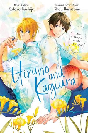 HIRANO & KAGUIRA LIGHT NOVEL SC Paperback