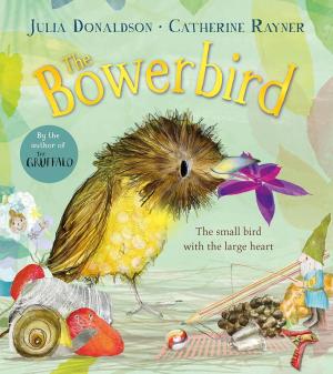 THE BOWERBIRD Paperback