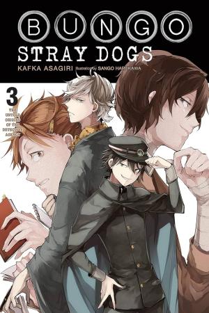 BUNGO STRAY DOGS NOVEL SC VOL 03 UNTOLD ORIGINS AGENCY Paperback