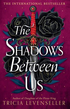 THE SHADOWS BETWEEN US Paperback