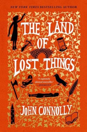 THE LAND OF LOST THINGS Paperback