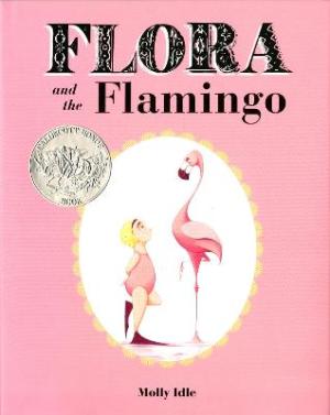 FLORA AND THE FLAMINGO HC