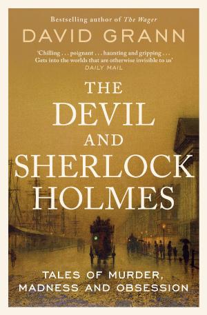 THE DEVIL AND SHERLOCK HOLMES: TALES OF MURDER, MADNESS AND OBSESSION Paperback