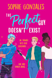 THE PERFECT GUY DOESN'T EXIST Paperback