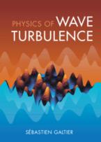 PHYSICS OF WAVE TURBULENCE HC