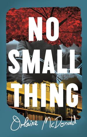 No Small Thing HC