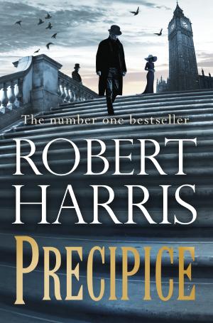 PRECIPICE Paperback