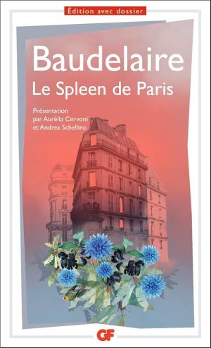 LE SPLEEN DE PARIS