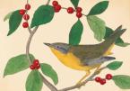 AUDUBON HOLIDAY HALF NOTES