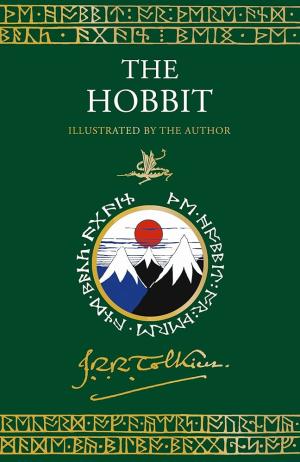 The Hobbit : Illustrated by the Author HC