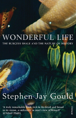 WONDERFUL LIFE Paperback