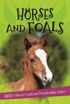 ITS ALL ABOUT... HORSES AND FOALS