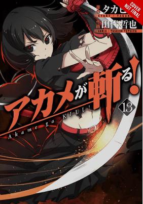 AKAME GA KILL GN VOL 13 Paperback