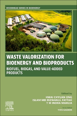 WASTE VALORIZATION FOR BIOENERGY AND BIOPRODUCTS : BIOFUELS, BIOGAS, AND VALUE-ADDED PRODUCTS Paperback