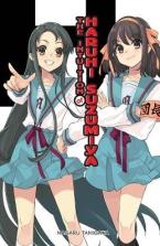 INTUITION OF HARUHI SUZUMIYA LIGHT NOVEL SC Paperback