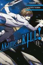 AKAME GA KILL GN VOL 11 Paperback