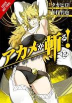 AKAME GA KILL GN VOL 12 Paperback