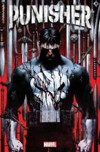 PUNISHER VOL. 1     Paperback