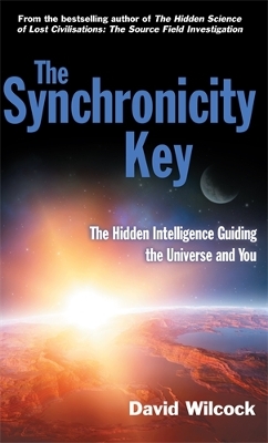 The Synchronicity Key Paperback