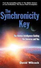 The Synchronicity Key Paperback