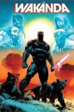 WAKANDA     Paperback