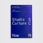 STUDIO CULTURE NOW: ADVICE AND GUIDANCE FOR DESIGNERS IN A CHANGING WORLD Paperback