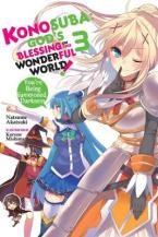 KONOSUBA LIGHT NOVEL SC VOL 03 YOURE BEING SUMMONED DARKNESS