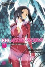 ACCEL WORLD LIGHT NOVEL SC VOL 14 Paperback