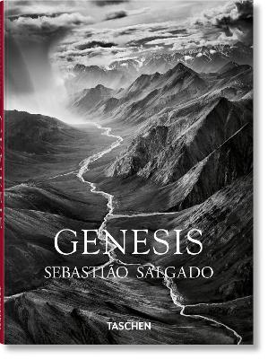 SebastiÆo Salgado. GENESIS