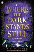 Where the Dark Stands Still Paperback