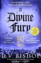 A Divine Fury Paperback