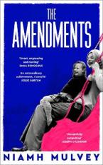 THE AMENDMENTS TPB AIR IRI OME