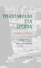 Τριαντάφυλλο στα ερείπια