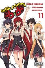 HIGH SCHOOL DXD GN VOL 11 Paperback