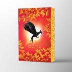 CATCHING FIRE DELUXE Paperback